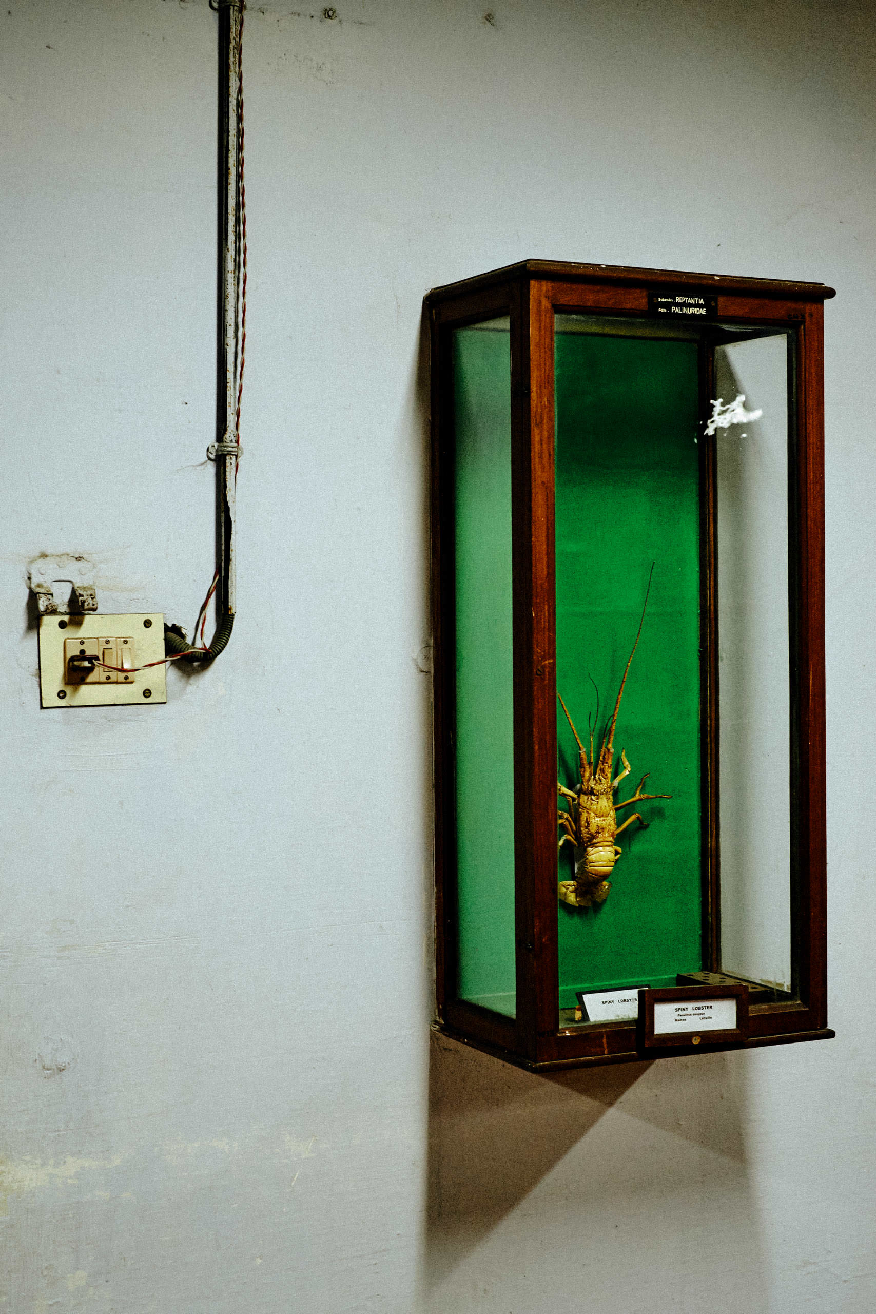 Government Art Museum Chennai